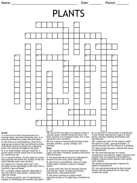 Clue & Answer Definitions. . Agave plant crossword clue